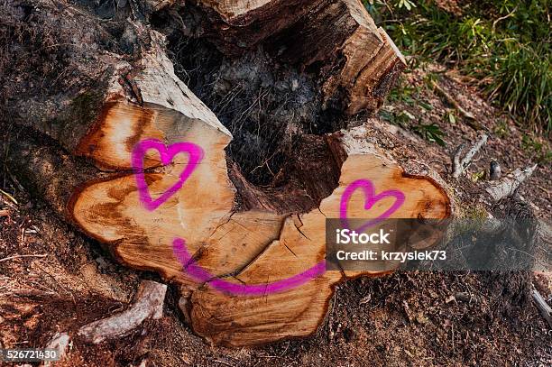 Painted On The Tree Trunk Stock Photo - Download Image Now - Brown, Environment, Forest