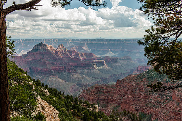 istock Grand Canyon National Park, North Rim 526722867