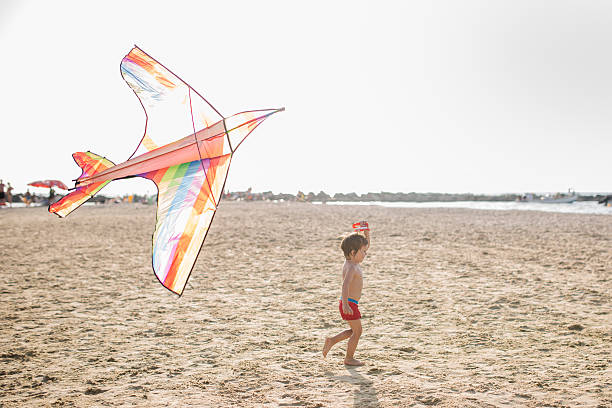 istock Side view of a boy with a kite at beach. 526724046