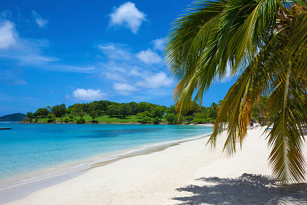 istock beach at Caneel Bay, St. John, US Virgin Islands 526724053