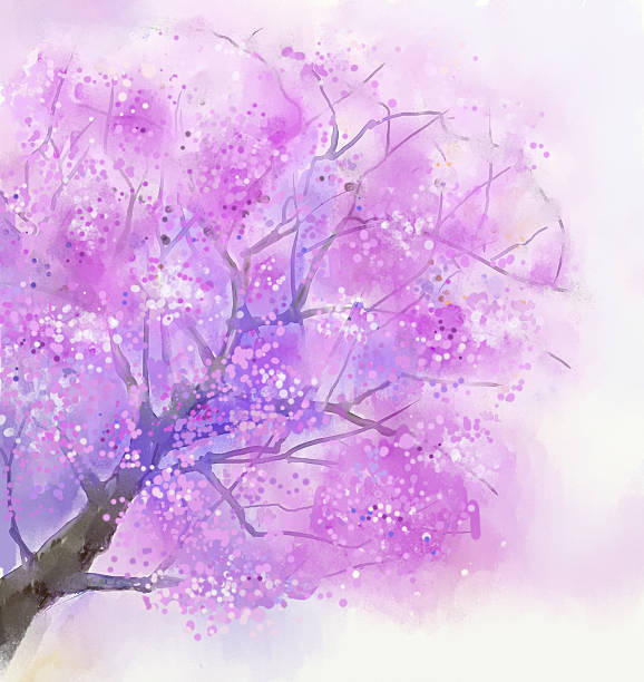 illustrazioni stock, clip art, cartoni animati e icone di tendenza di astratto dipinto di albero in fiore con fiori rosa - blossom growth single flower cherry blossom