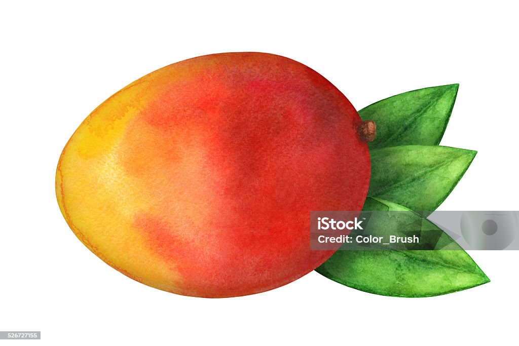 Watercolor mango frutas enteras y leafs en primer plano aislado - Ilustración de stock de Mango - Fruta tropical libre de derechos