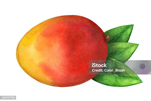 Ilustración de Watercolor Mango Frutas Enteras Y Leafs En Primer Plano Aislado y más Vectores Libres de Derechos de Mango - Fruta tropical