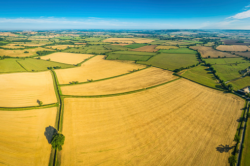 Aerial panoramic view over golden crop fields, farms and vibrant green patchwork landscape under blue summer skies. ProPhoto RGB profile for maximum color fidelity and gamut.