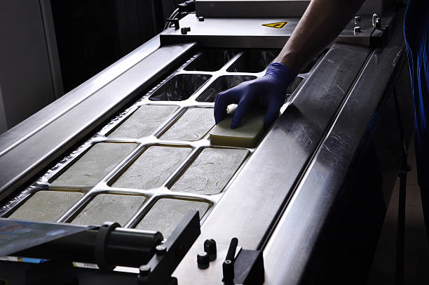 cheddar chese Making of pecorino di Farindola cheese: the cheese are stored in a wooden container to mature. dairy producer stock pictures, royalty-free photos & images