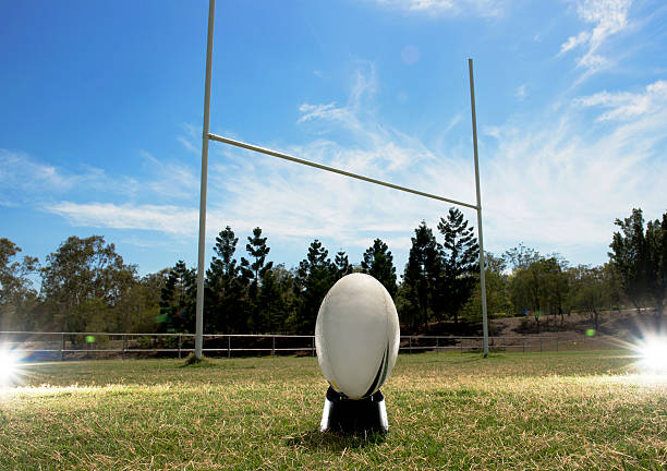 pelota de rugby - rugby soccer grass playing field fotografías e imágenes de stock