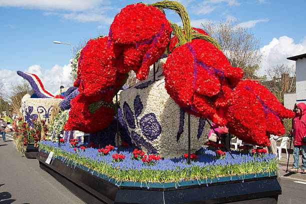 traditionnelle néerlandaise fleurs défilé «bloemencorso» - flower parade photos et images de collection