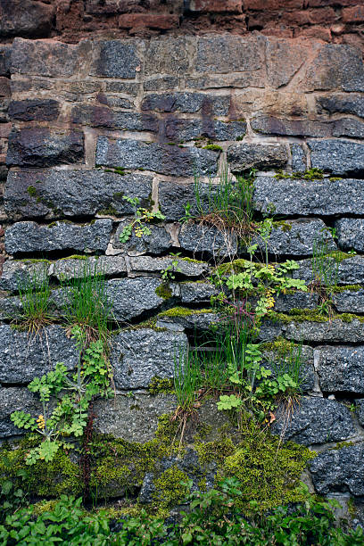 istock Stone old wall texture. Rock blocks in old medieval brick. 526730618