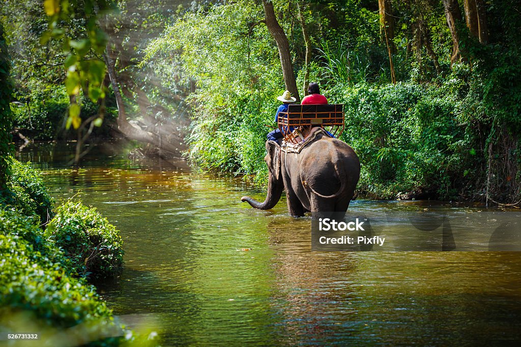 Voyageur à cheval sur des éléphants - Photo de Thaïlande libre de droits