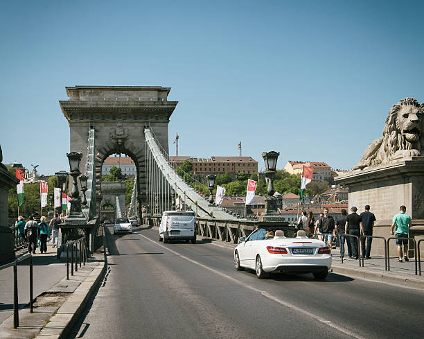 цепной мост в будапеште - chain bridge budapest bridge lion стоковые фото и изображения