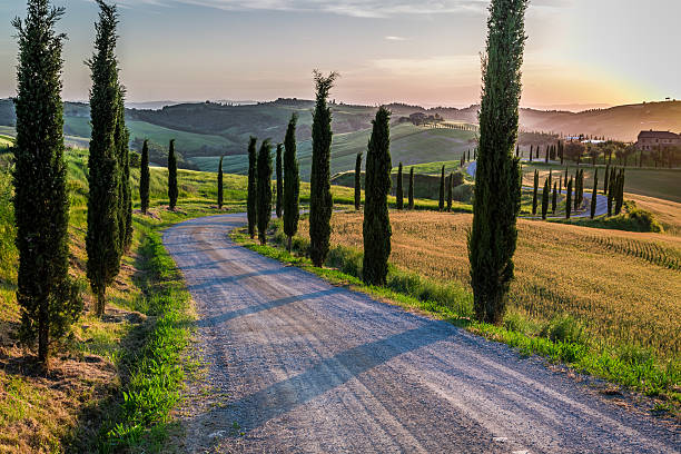 istock Sunset and winding road with cypresses in Tuscany 526743891