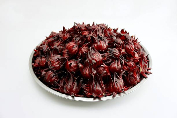 istock setup of roselle flower in stainless tray 001 526748635