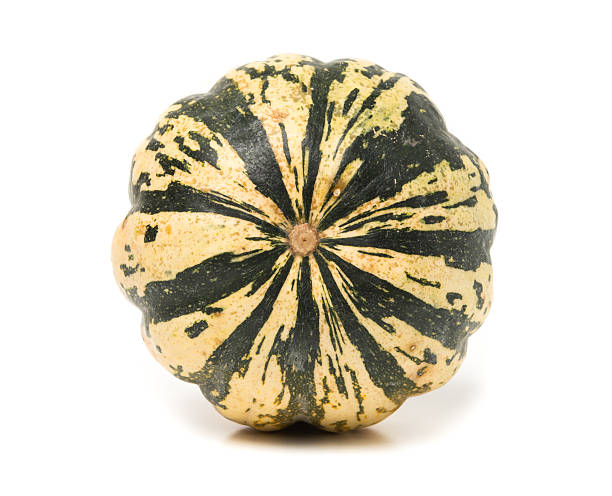 istock Green striped decorative pumpkin isolated on white background 526749175