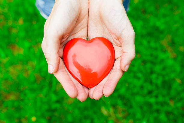 istock Care for your heart 526749795