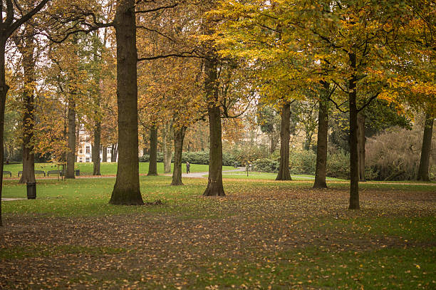 citypark en breda - middle human age men male fotografías e imágenes de stock