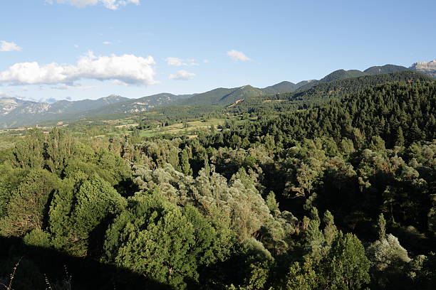 istock Landscape in Catalonia 526761013