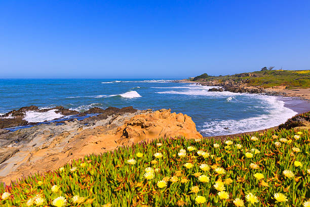 istock California Bean Hollow State beach in Cabrillo Hwy 526763435
