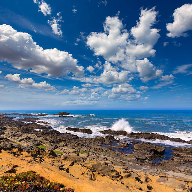 istock California Bean Hollow State beach in Cabrillo Hwy 526763439