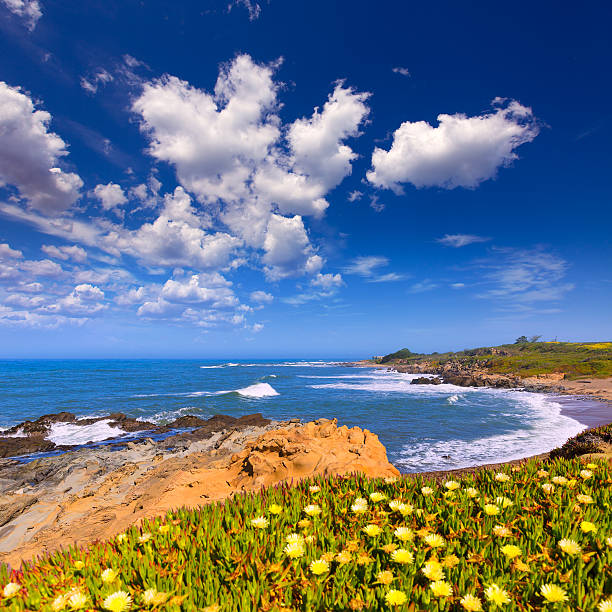 istock California Bean Hollow State beach in Cabrillo Hwy 526763445
