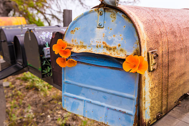istock California poppy grunge mailboxes along Pacific Highway Route 1 526764915