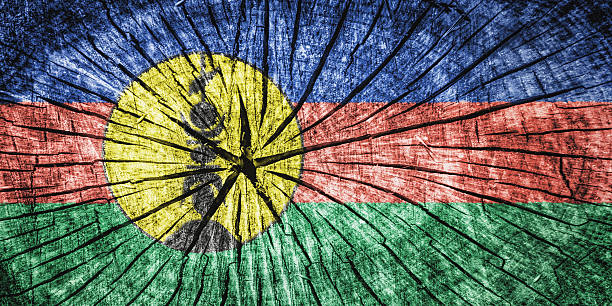 istock Flag of New Caledonia 526784875