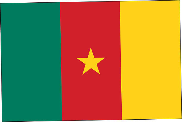 Cameroon flag vector art illustration