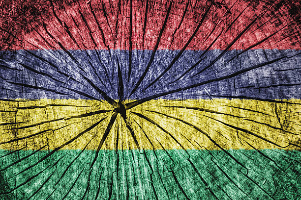 istock flag of  Mauritius 526787263
