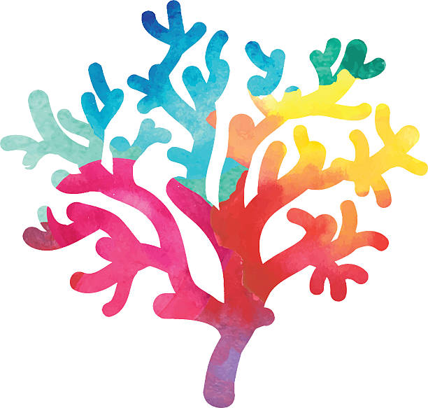 hand drawn decorative watercolor coral vector art illustration