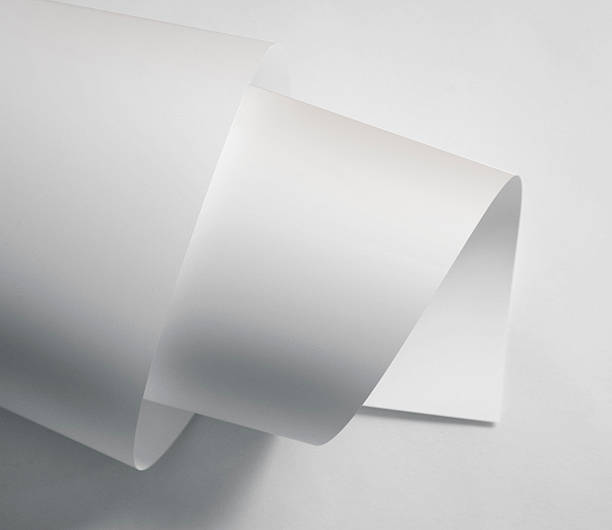 istock ROLLED UP PIECE OF PAPER 526805943
