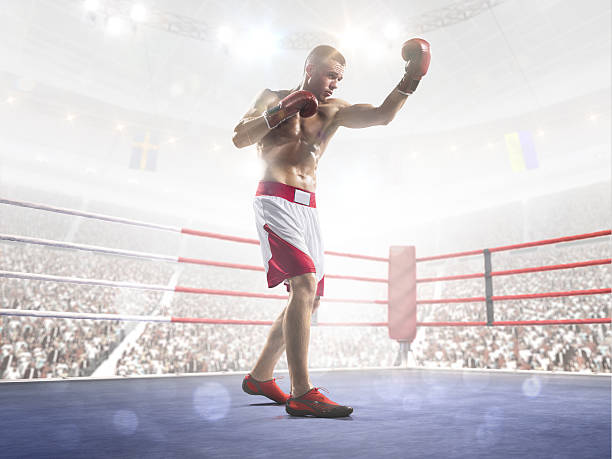 istock Professional boxer is training on the grand arena 526806861