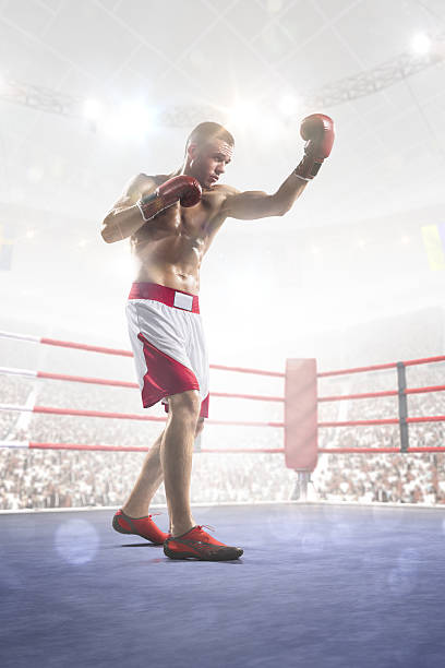 istock Professional boxer is training on the grand arena 526806863