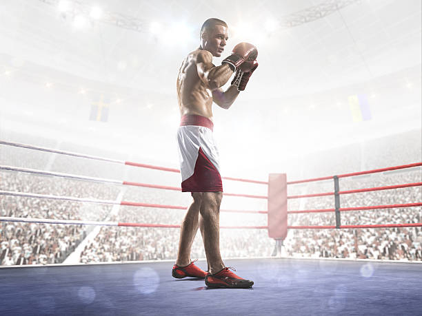istock Professional boxer is training on the grand arena 526806865