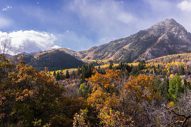 USA. State of Utah. Wasatch County. Wasatch Mountains. Along the Alpine Loop/Timpanogos.