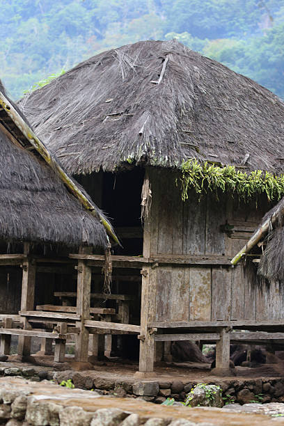 istock Indonesia: Tenganan Village in Bali 526809639
