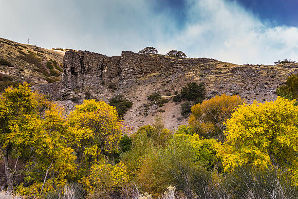 Beautiful Mountain View with Stunning Bright Fall Colors