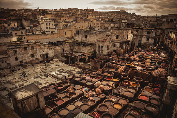 Fez tannery