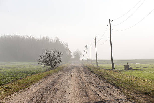 istock beautiful green meadow in heavy mist 526812081