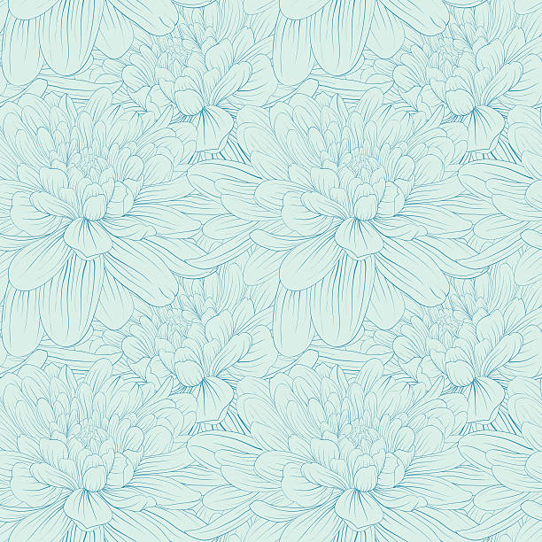 ilustraciones, imágenes clip art, dibujos animados e iconos de stock de hermoso patrón sin costuras con flores azul dahlia. - chrysanthemum single flower flower textile