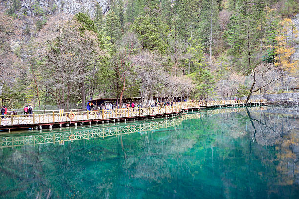 Five Flower Lake, Jiuzhaigou stock photo