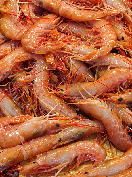 istock Fresh shrimps at the fish market 526819648