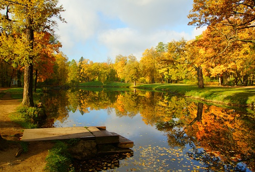 Autumn morning in Alexandrovsky Park in Tsarskoye Selo