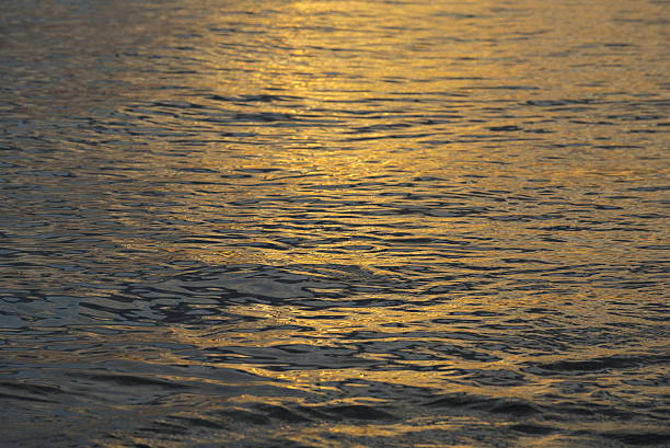 istock Calm ocean water on summer sunset 526824180