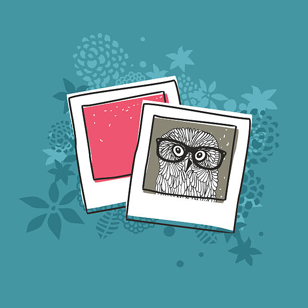 Old photo of cute owl. Old photo of cute owl. Vector illustration. doodle photos stock illustrations