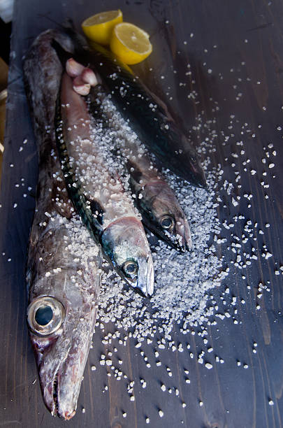 istock blue fish just caught fresh great for a healthy diet 526827954