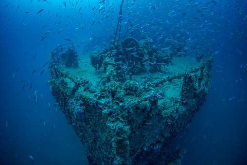 Bow of the wrecked steamship Vis with shoal of fish. The wreck lies in the Croatian Adriatic sea. The ship was sunk after hitting a mine just after the end of WW2. The seabed is approximately 65m(215ft) with the bow itself lying approximately 10m(30ft) shallower.