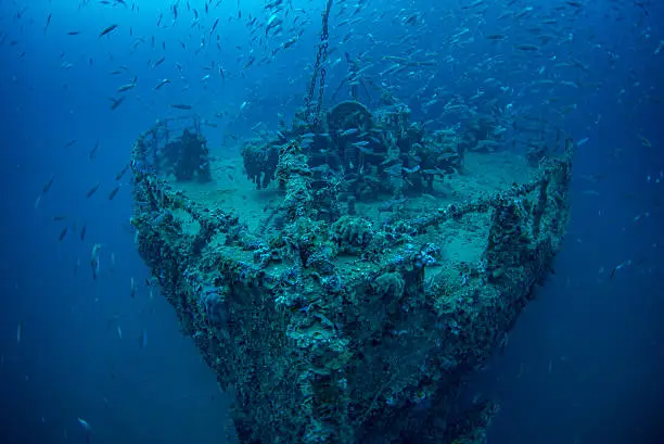 Bow of the wrecked steamship Vis with shoal of fish. The wreck lies in the Croatian Adriatic sea. The ship was sunk after hitting a mine just after the end of WW2. The seabed is approximately 65m(215ft) with the bow itself lying approximately 10m(30ft) shallower.