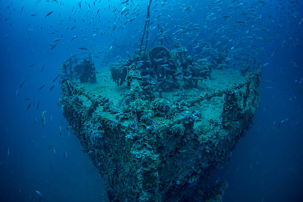restos do navio a vapor face - shipwreck - fotografias e filmes do acervo
