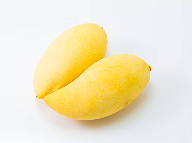 istock fresh delicious yellow mango isolated  on white background 526829228