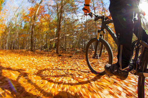istock Mountain biking along a trail in the bright sun. 526831968