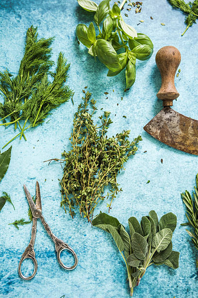 istock Mixed fresh herbs and vintage mezzaluna 526832902